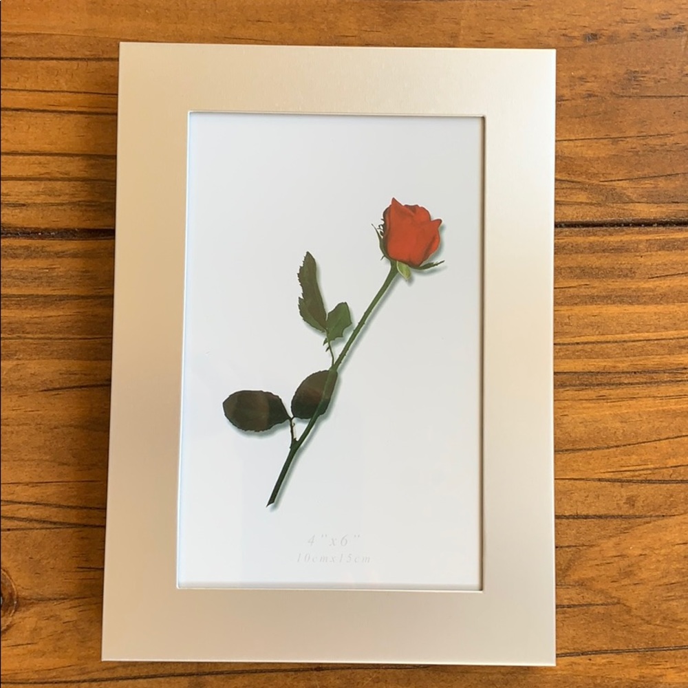 4x6 Premier Designs Silver Picture Frame